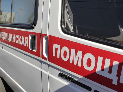 Ростовские врачи спасли двухлетнюю девочку, которой домашняя собака сняла часть скальпа