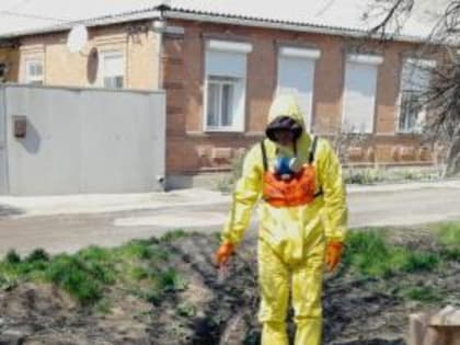 В Таганроге приступили к дератизации городских территорий