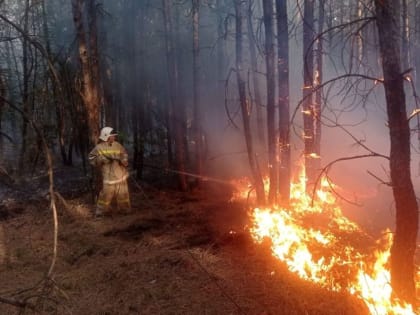 Противопожарная служба донского региона отметила 12-летие