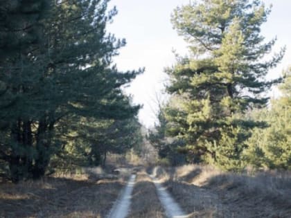 На Дону начался пожароопасный сезон