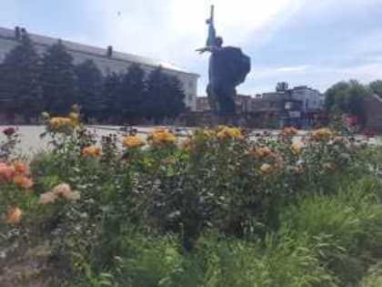 До 30 градусов жары и кратковременный дождь обещают в Шахтах в выходные