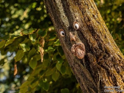 Погода в Таганроге: осенние изменения температуры