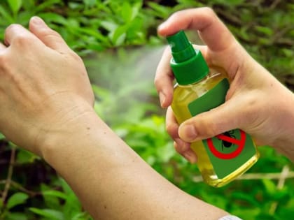 Иксодовые клещи боятся запахов, приятных для людей