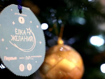 На Дону и в Волгодонске стартовала благотворительная акция «Ёлка желаний»