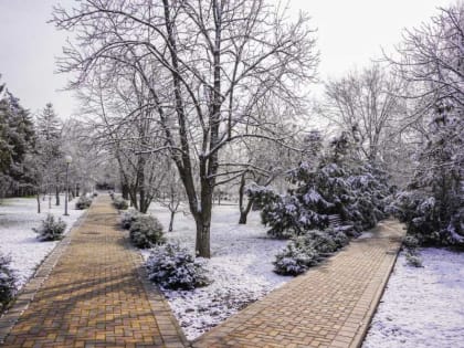Погода в Целинском районе: резкое потепление продлится до середины недели
