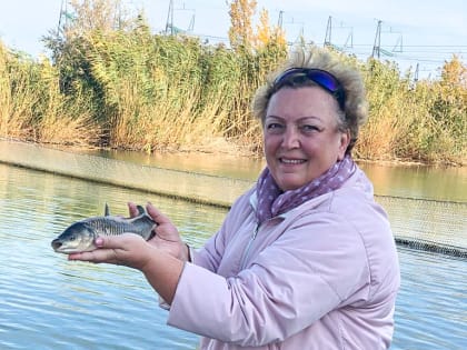 В Ростовской области идёт приём документов для присвоения звания «Лучший эколог Дона»