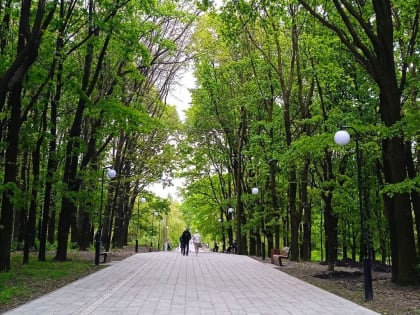 «Дубки» и мастер-план: таганрожцев ждут на встрече с архитекторами