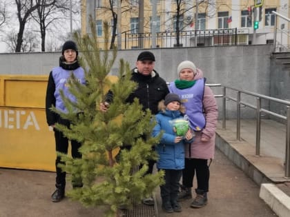 Подари ёлке вторую жизнь: Таганрог подвел итоги общегородской акции