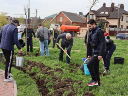 В Батайске прошёл областной День древонасаждений