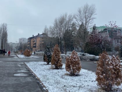 Бульвар Великой Победы приведут в порядок к 80-й годовщине Победы