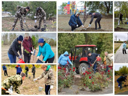 День древонасаждения в Усть-Донецком районе