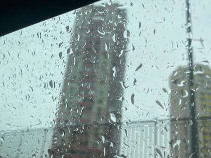 Ветер в Ростовской области усилится до 20 метров в секунду