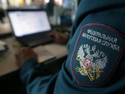 В России началась Декларационная кампания 2025 года