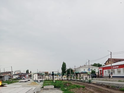 В Миллерово на объекте, находящемся под личным контролем главы района, зацвела амброзия