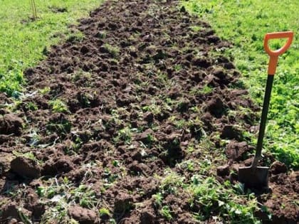 Осенняя перекопка огорода: советы специалистов