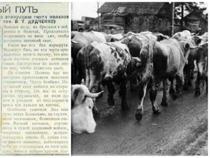 «Летопись Победы и хроника чувств»