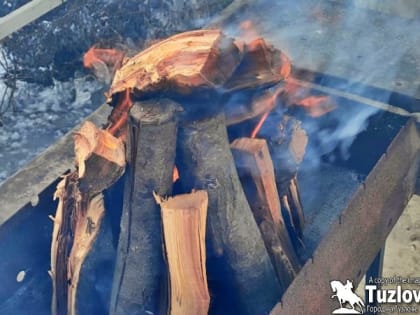 С 1 марта разрешат жарить мясо на мангалах около дома, а на участках – сжигать мусор