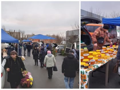 Состоялась предновогодняя сельскохозяйственная ярмарка