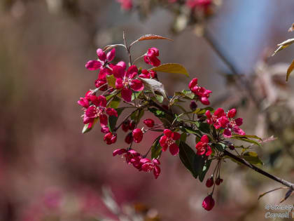 Погода в Таганроге 19 мая: днем +26°