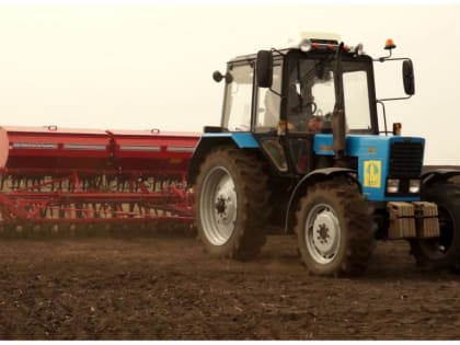 Сев озимых культур в Усть-Донецком районе: начало полевых работ