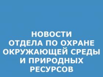 О проведении третьего этапа областного эколого-просветительского проекта «ДОНСБОР – 2023»