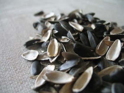 Применение лузги подсолнечной