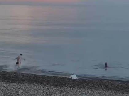 Кое-кто уже открыл в Сочи купальный сезон (видео)