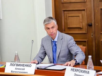 Логвиненко: чтобы избежать трагедий, городские пляжи в Ростове будут находиться под постоянным наблюдением