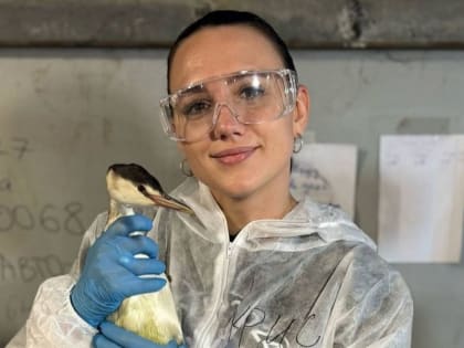 Кристина Черныш: вдохновляющий пример волонтерства в борьбе с загрязнением побережья Анапы