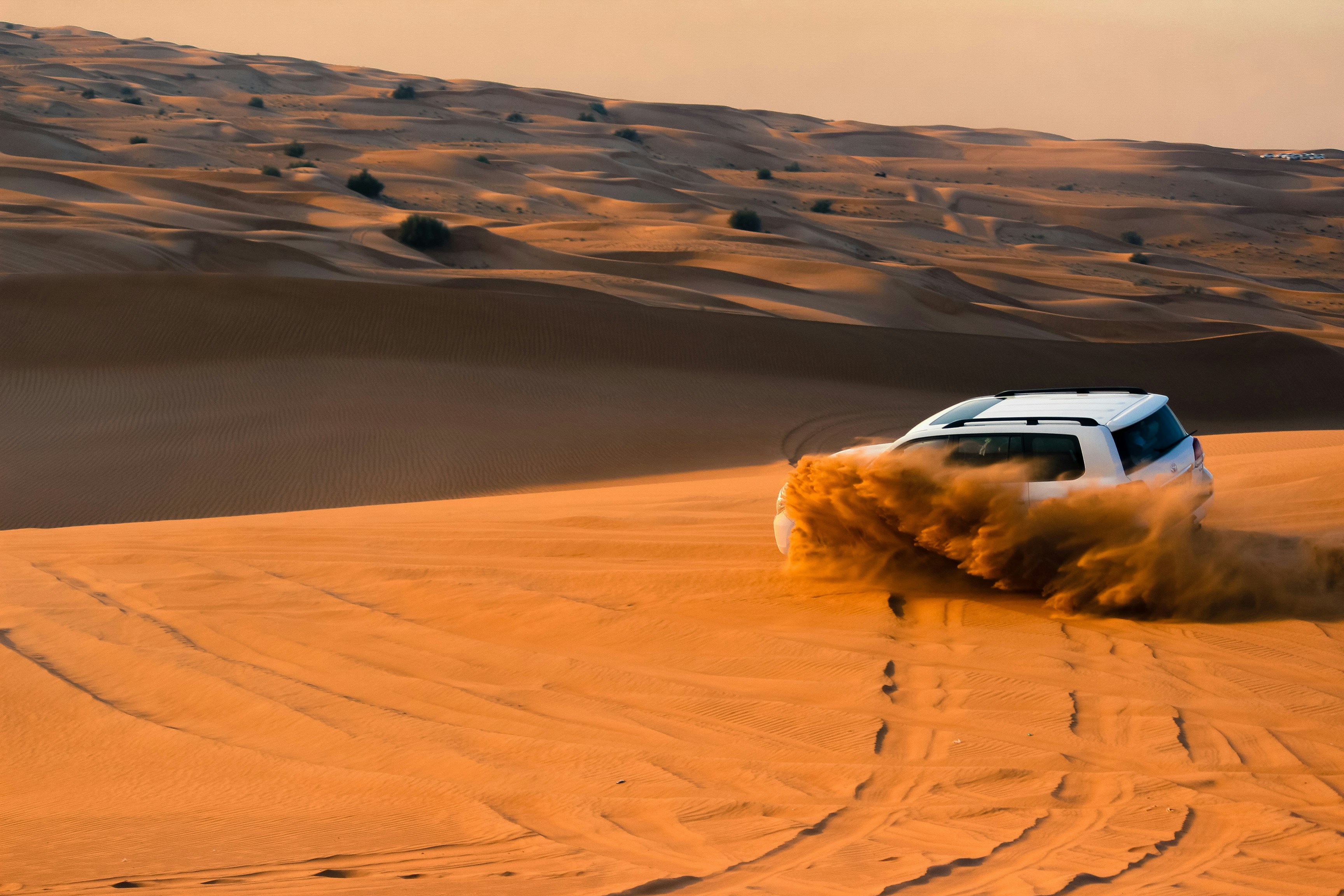 Dessert Safari 4x4 Car