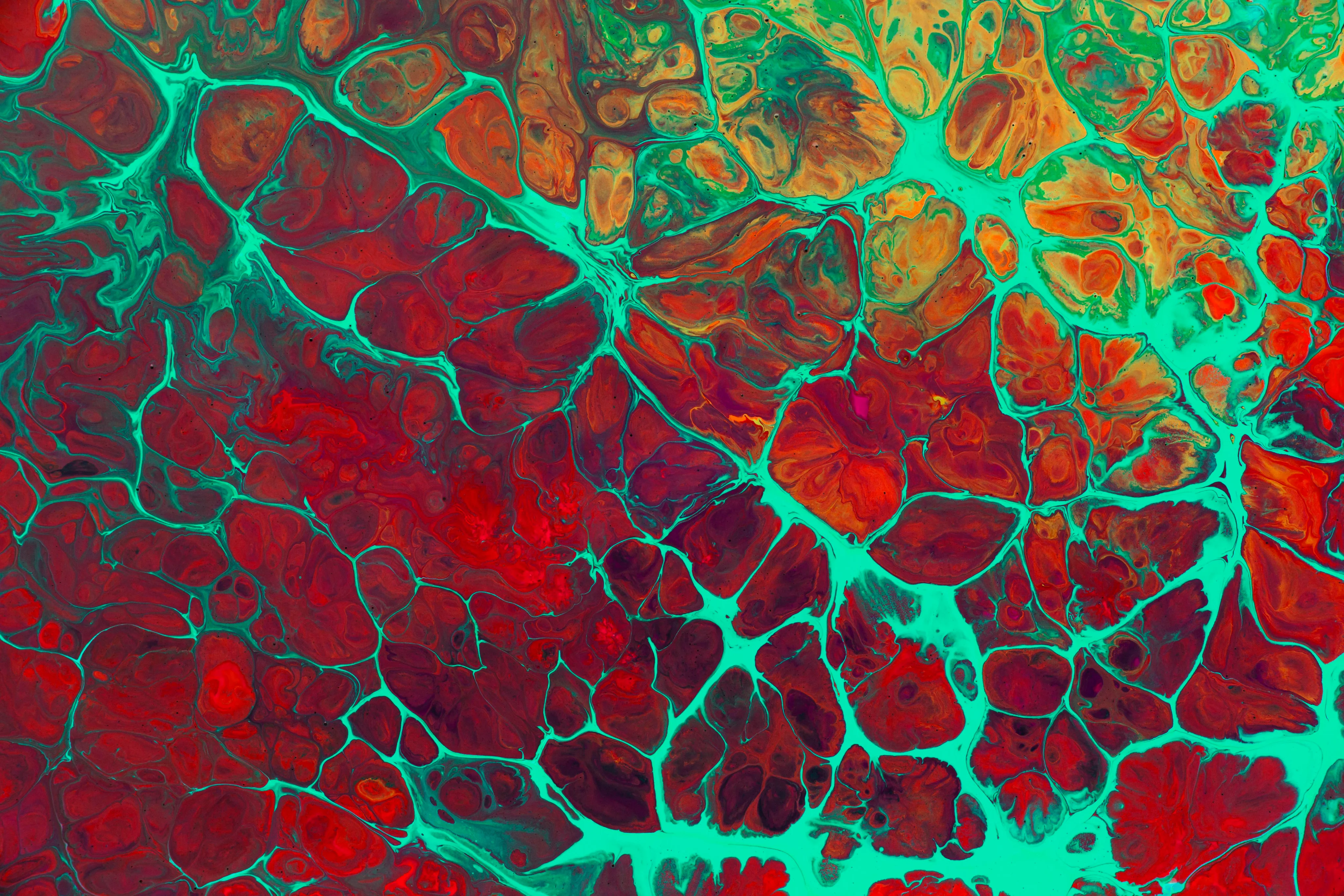 Fundo com cores vermelho e verde