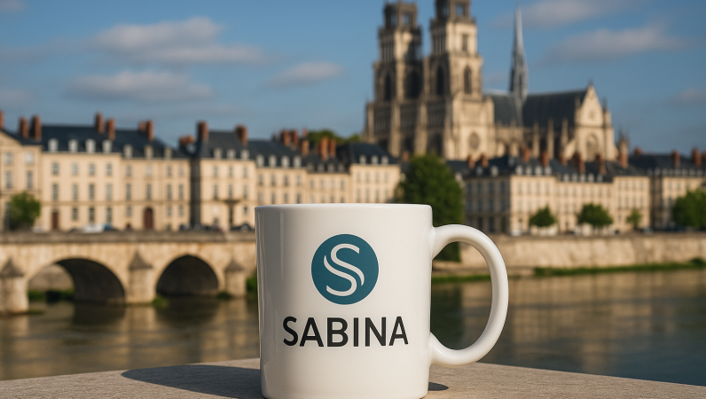 Exploring the Benefits of Renting a Sabina Mug in Orléans