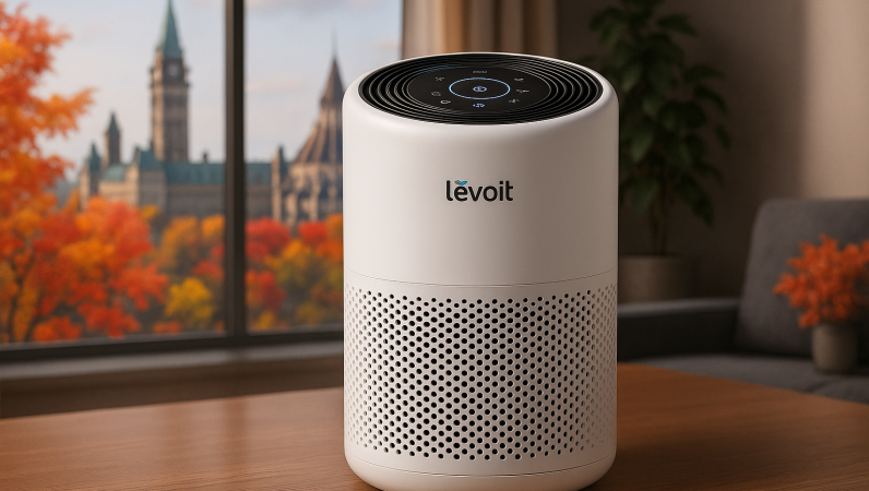Seasonal Benefits of Renting a Levoit Air Purifier in Ottawa
