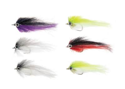 World Wide Sportsman Prestige 6-Piece Baitfish Fly Assortmen for rent in Broomall