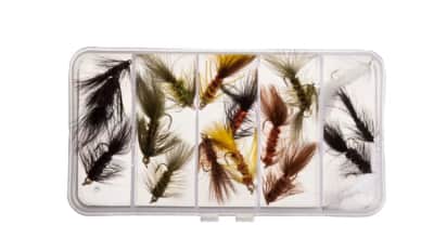Rainy's Woolly Bugger Fly Assortment – photo 2 in Broomall