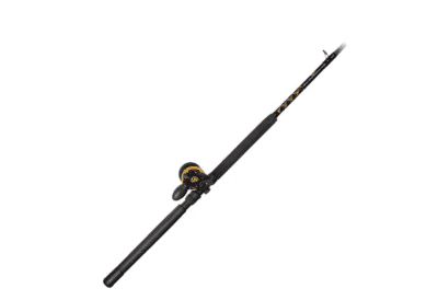 PENN Squall 30 and 40 Lever Drag Conventional Rod/Reel Combo for rent in Broomall
