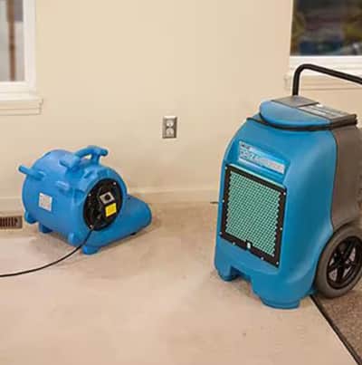 Carpet Blower – photo 4 in Broomall