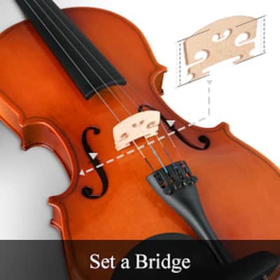 Eastar 3/4 Violin Set for Beginners – photo 10 in Kanata