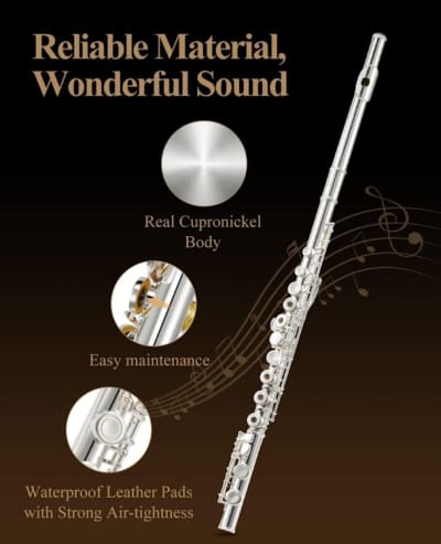 Eastar C Flutes Open Hole 16 Keys Flute for Beginner – photo 6 in Kanata