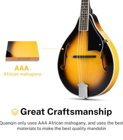 Donner A Style Mandolin Instrument Sunburst – photo 7 in Kanata