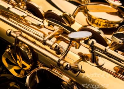 Glory Professional Alto Eb SAX Saxophone Gold Laquer Finish – photo 4 in Kanata