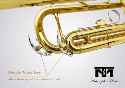 Triumph Standard Trumpet Set – photo 5 in Kanata