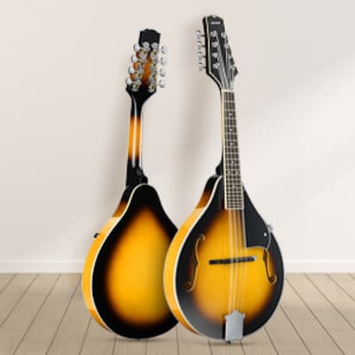 Donner A Style Mandolin Instrument Sunburst – photo 2 in Kanata