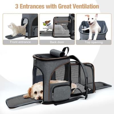 Cat Backpack Expandable Dog Carrier for rent in Kanata