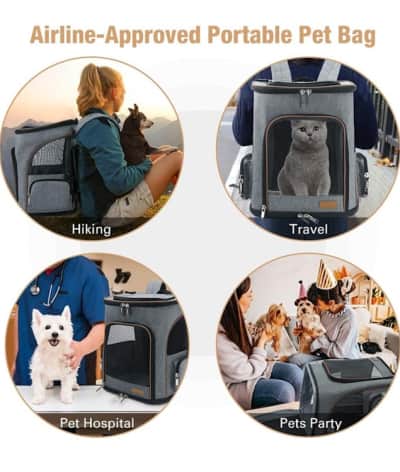Cat Backpack Expandable Dog Carrier – photo 2 in Kanata
