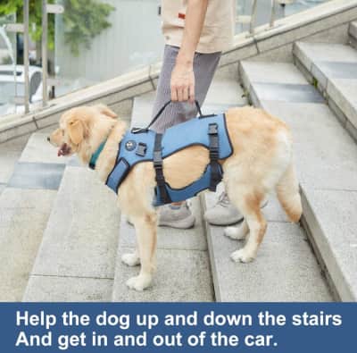 Double Extra Large Dog Lift Harness for rent in Kanata