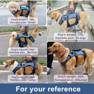 Double Extra Large Dog Lift Harness – photo 3 in Kanata