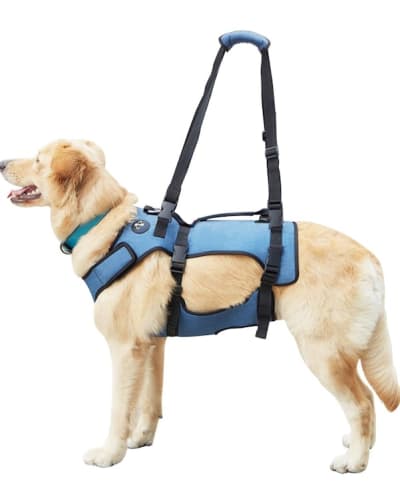 Double Extra Large Dog Lift Harness – photo 7 in Kanata