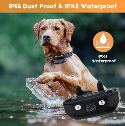 GPS Wireless Dog Fence – photo 6 in Kanata