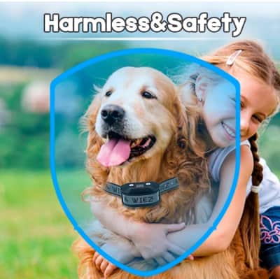 GPS Wireless Dog Fence – photo 7 in Kanata